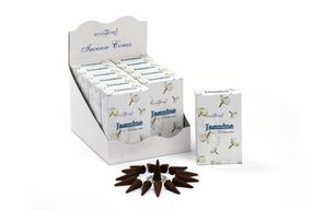 Cônes Stamford Premium - Jasmin