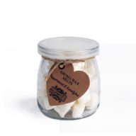 Aroma Wax Melts - Menthe poivrée & Eucalyptus