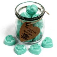 Coeurs Fondants Cire de Soja - Pomme épicée