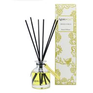 Coffret de 3 Diffuseurs d'Ambiance 140ml - Agrumes