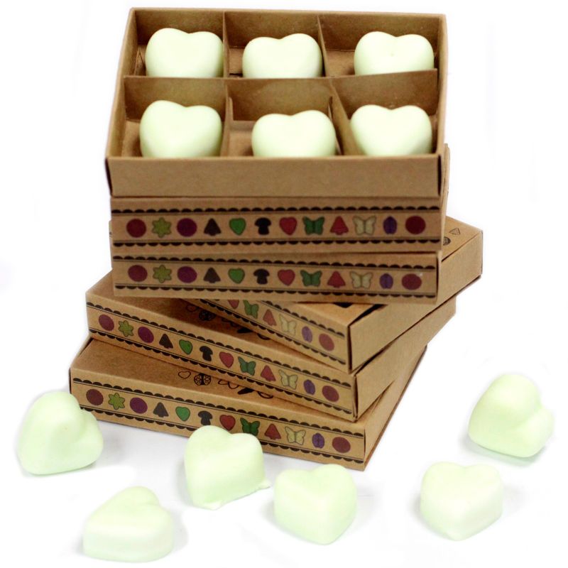 Boîte de 6 Fondants en Cire Soja -  Pomme Épicée