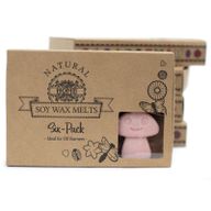 Boîte de 6 Fondants en Cire Soja - Marchand de Café