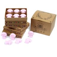 Boîte de 6 Fondants en Cire Soja - Ylang Ylang