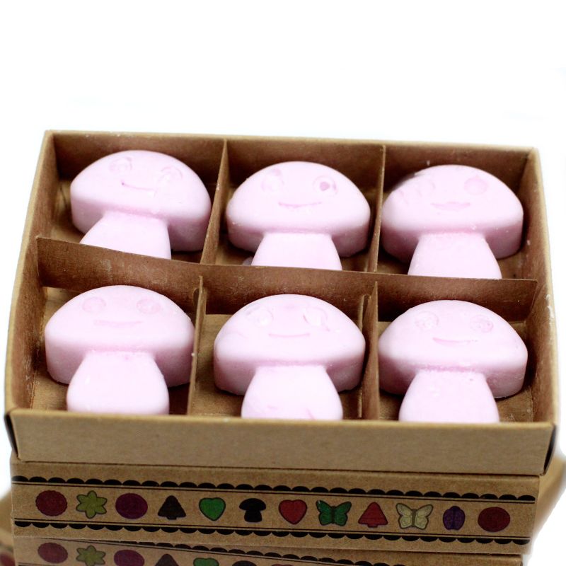 Boîte de 6 Fondants en Cire Soja - Ylang Ylang