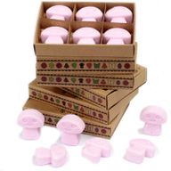 Boîte de 6 Fondants en Cire Soja - Ylang Ylang