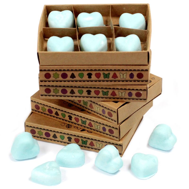 Boîte de 6 Fondants en Cire Soja - Nagchampa