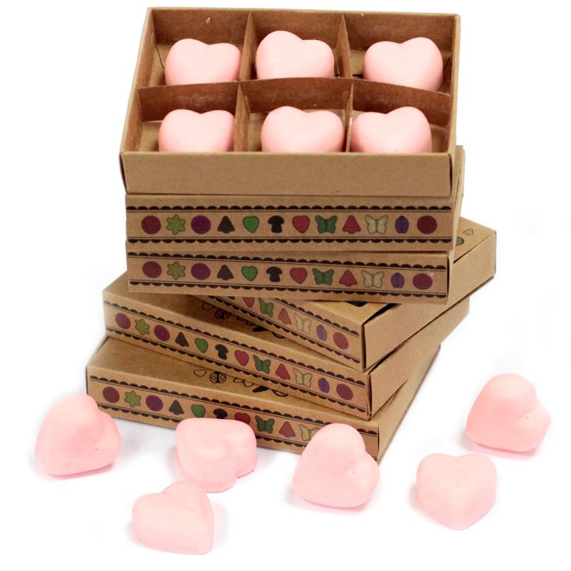 Boîte de 6 Fondants en Cire Soja - Sang du Dragon