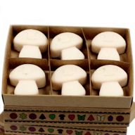 Boîte de 6 Fondants en Cire Soja - Vanille & Noix de muscade