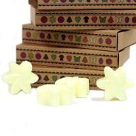Boîte de 6 Fondants en Cire Soja - Récolte de citron