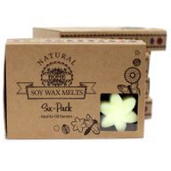 Boîte de 6 Fondants en Cire Soja - Récolte de citron