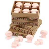 Boîte de 6 Fondants en Cire Soja - Gingembre