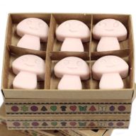 Boîte de 6 Fondants en Cire Soja - Gingembre