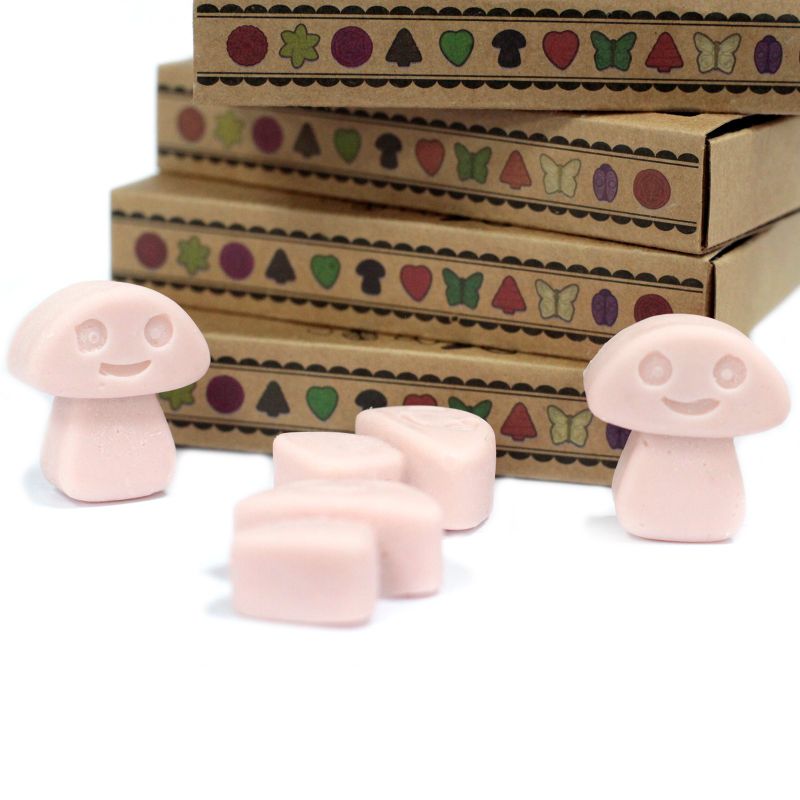 Boîte de 6 Fondants en Cire Soja - Gingembre
