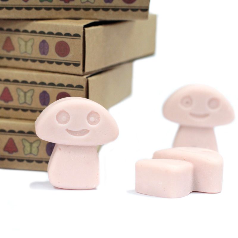 Boîte de 6 Fondants en Cire Soja - Gingembre