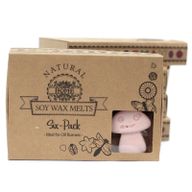 Boîte de 6 Fondants en Cire Soja - Gingembre