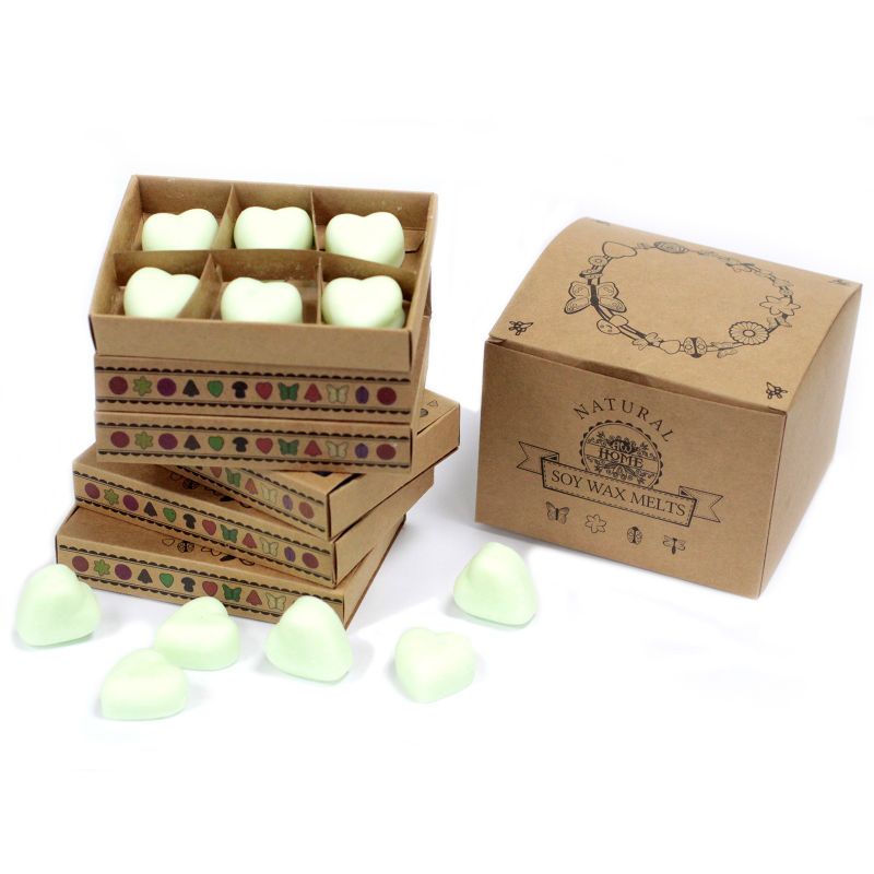 Boîte de 6 Fondants en Cire Soja - Beurre de Brandy