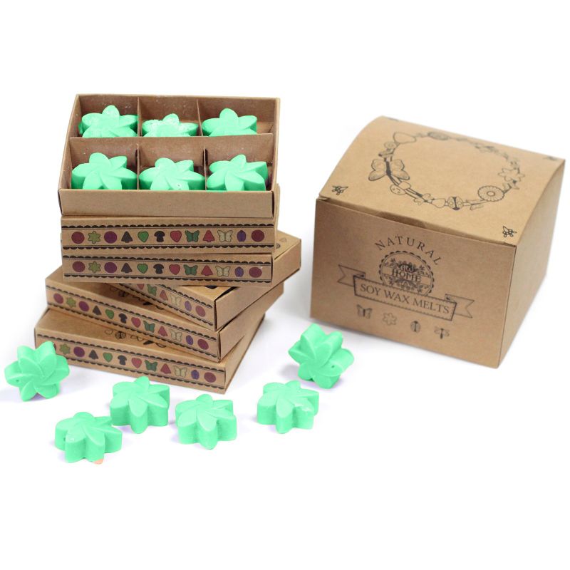 Boîte de 6 Fondants en Cire Soja - Jardin Caché