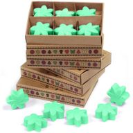 Boîte de 6 Fondants en Cire Soja - Jardin Caché