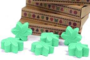 Boîte de 6 Fondants en Cire Soja - Jardin Caché