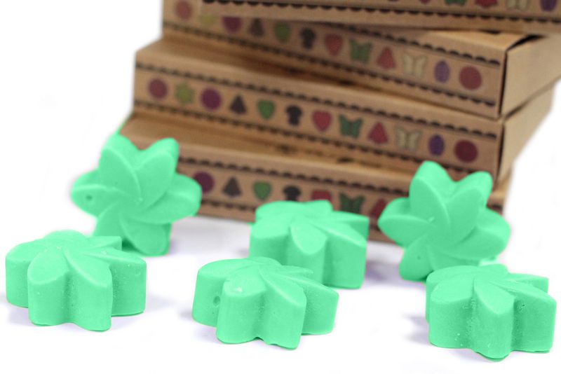 Boîte de 6 Fondants en Cire Soja - Jardin Caché
