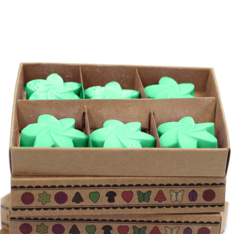 Boîte de 6 Fondants en Cire Soja - Jardin Caché