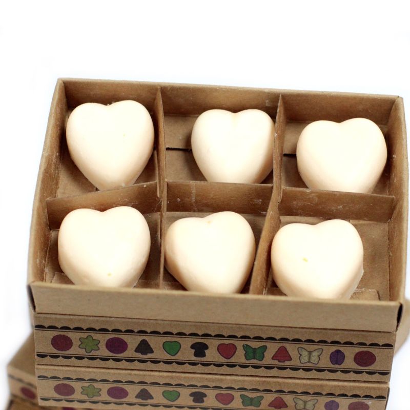 Boîte de 6 Fondants en Cire Soja - Cannelle et Orange
