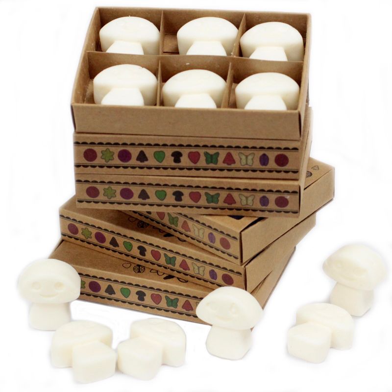 Boîte de 6 Fondants en Cire Soja - Musc Blanc