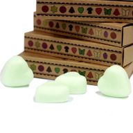 Boîte de 6 Fondants en Cire Soja - Pastèque Fraîche