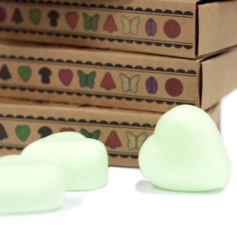 Boîte de 6 Fondants en Cire Soja - Pastèque Fraîche