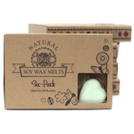 Boîte de 6 Fondants en Cire Soja - Pastèque Fraîche