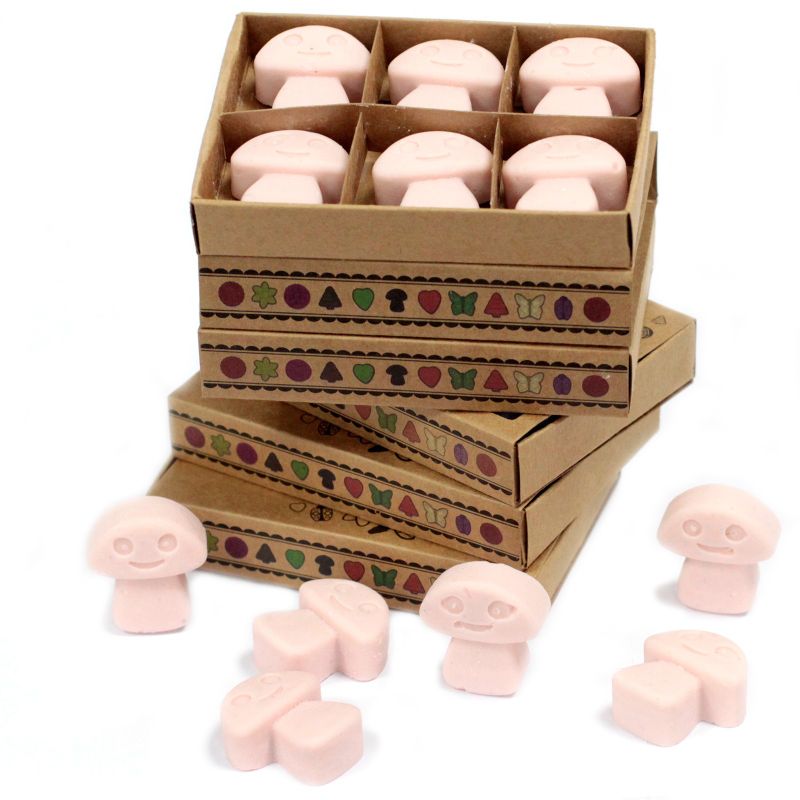 Boîte de 6 Fondants en Cire Soja -  Bois de Santal Foncé