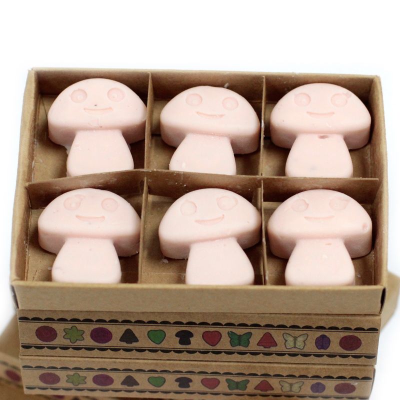 Boîte de 6 Fondants en Cire Soja -  Bois de Santal Foncé
