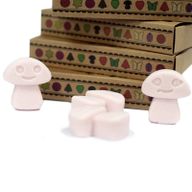 Boîte de 6 Fondants en Cire Soja - Bois de Santal Foncé