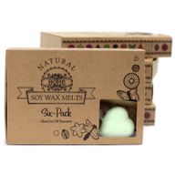 Boîte de 6 Fondants en Cire Soja - Menthe et Menthol