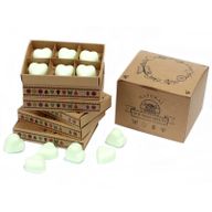 Boîte de 6 Fondants en Cire Soja - Menthe et Menthol