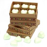 Boîte de 6 Fondants en Cire Soja - Menthe et Menthol