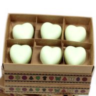 Boîte de 6 Fondants en Cire Soja - Menthe et Menthol