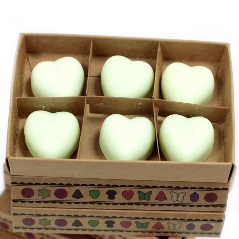 Boîte de 6 Fondants en Cire Soja - Menthe et Menthol