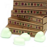 Boîte de 6 Fondants en Cire Soja - Menthe et Menthol