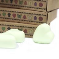 Boîte de 6 Fondants en Cire Soja - Menthe et Menthol