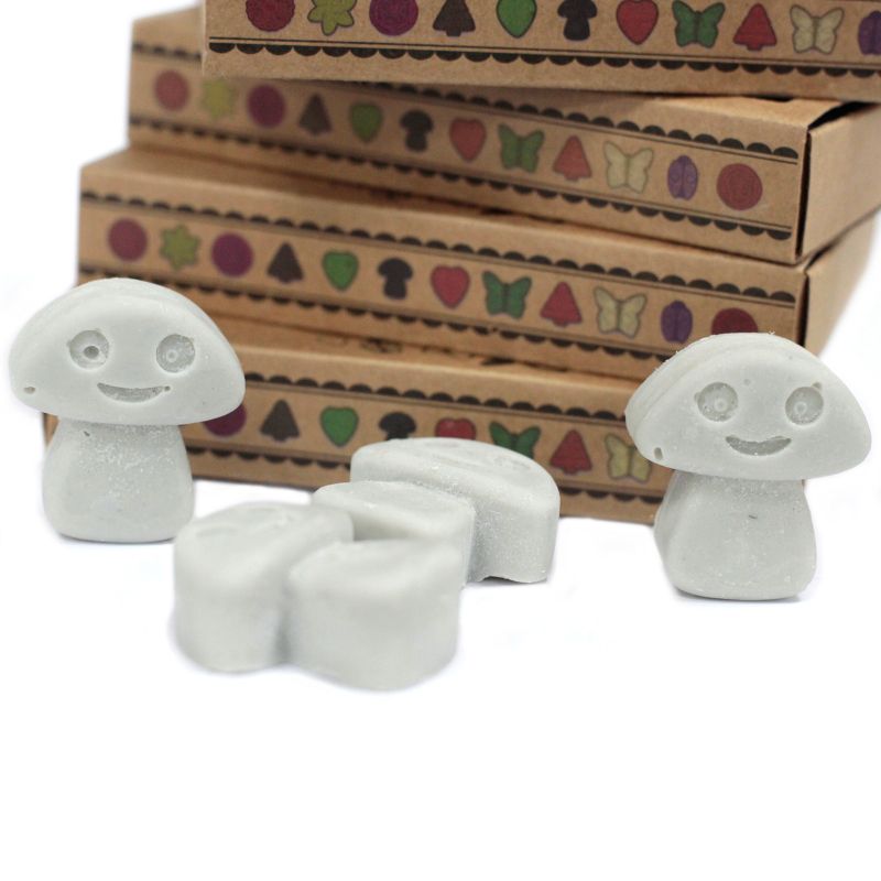 Boîte de 6 Fondants en Cire Soja - Patchouli Foncé