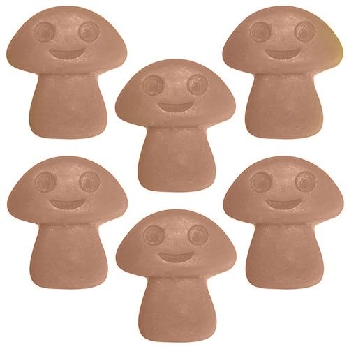Fondants en Cire Naturelle - Gingembre