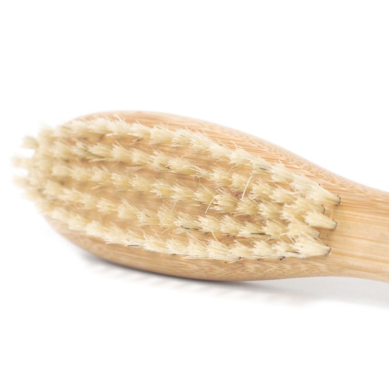 Brosse Barbe