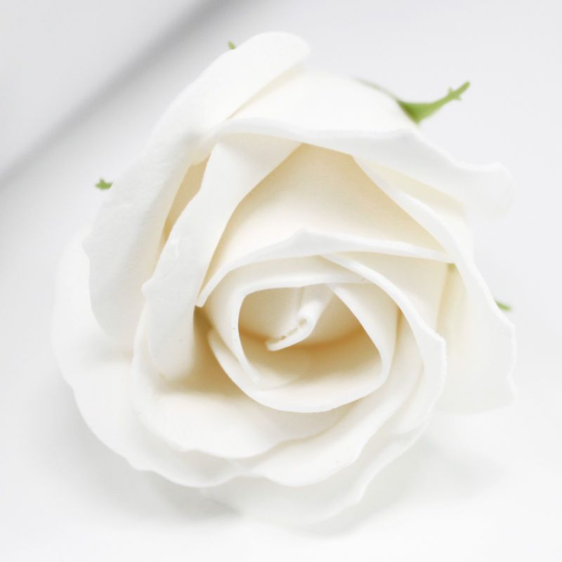 Roses de Savon  pour Bouquet- Medium/Blanc
