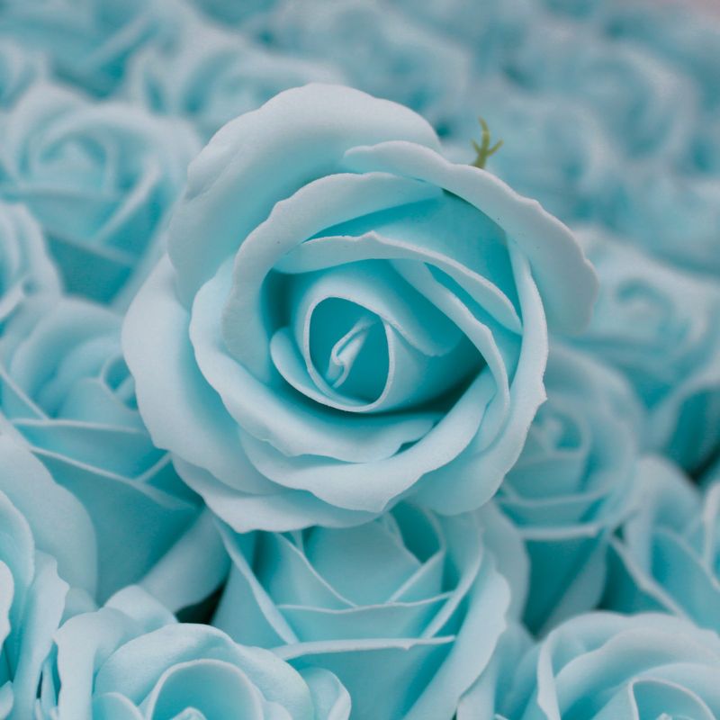 Roses de Savon pour Bouquet- M/Bleu Layette