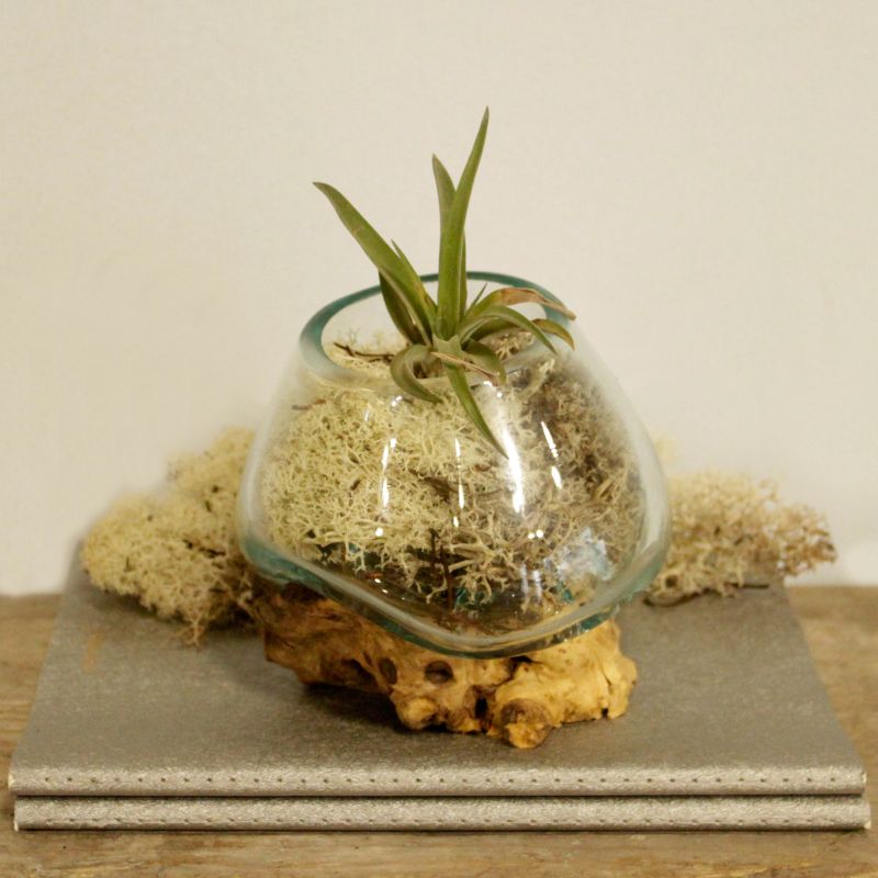 Vase en Verre Soufflé sur Racine - Petit
