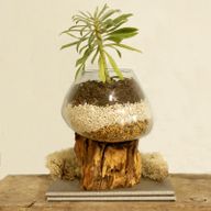 Vase en Verre Soufflé sur Racine - Large