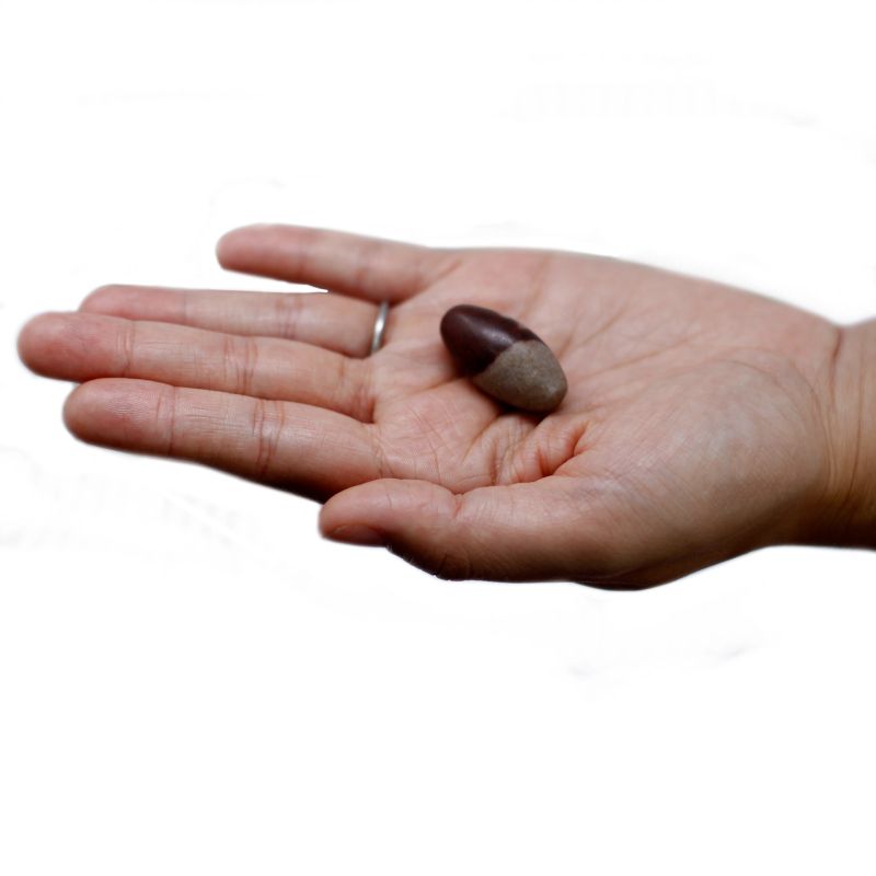 Lingam 1 Pouce (2.54cm) - 3 Pierres