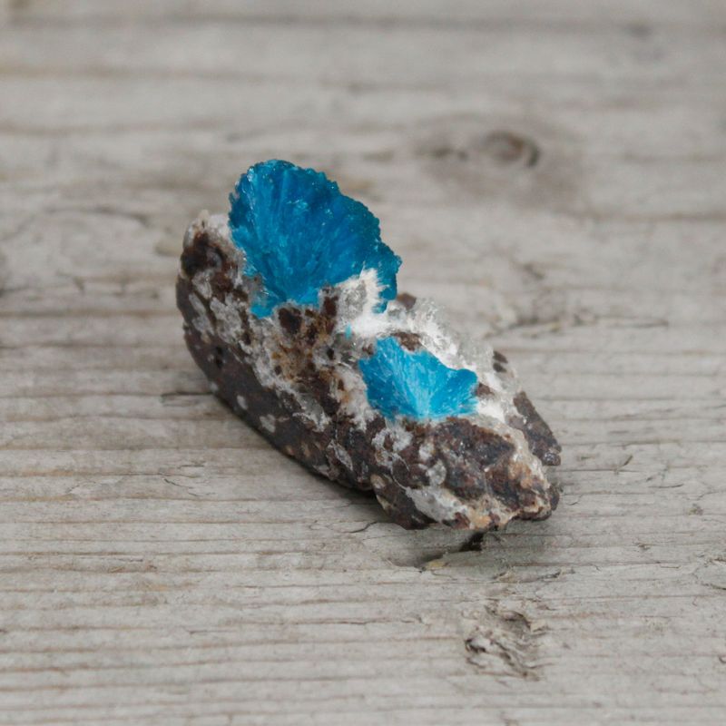 Cavansite 30-40mm