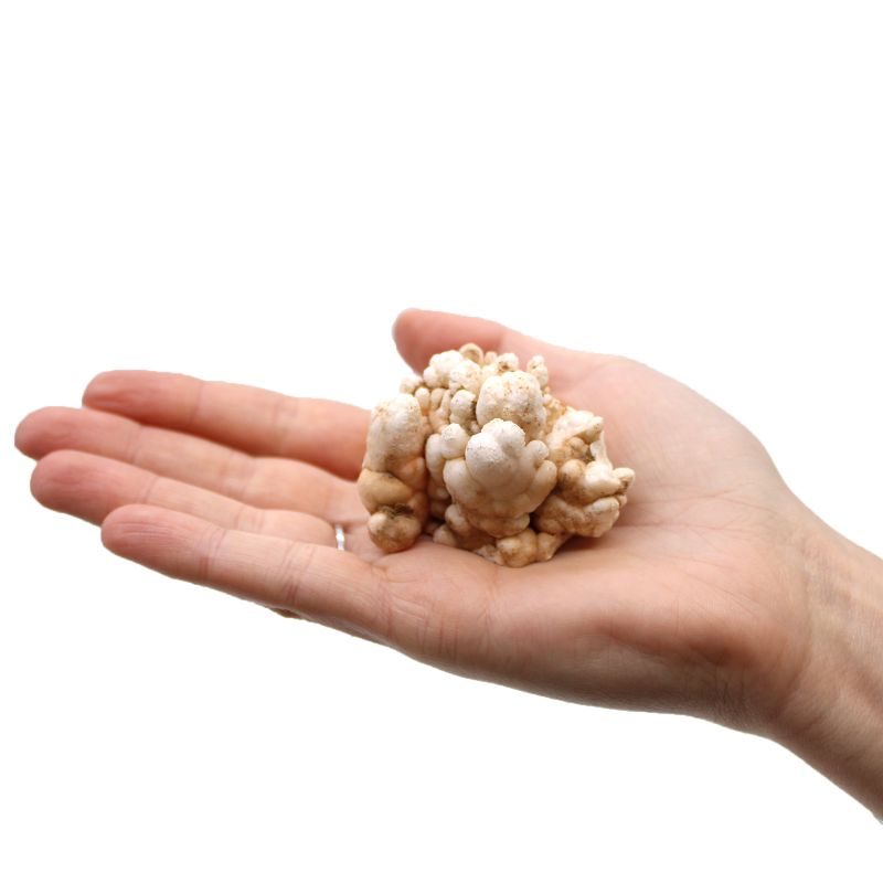Amas de Quartz (min 5 pièces par Sac de 1kg)